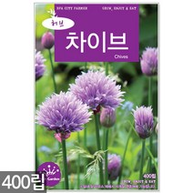 스피아민트 씨앗 2000립 / 허브씨앗 스피아민트씨앗 허브씨 허브 스피아민트씨 씨, 11_허브_차이브(400립)