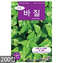 챠빌 씨앗 500립 / 허브씨앗 챠빌씨앗 허브씨 챠빌씨 처빌 허브 향신료, 07_허브_바질(200립)