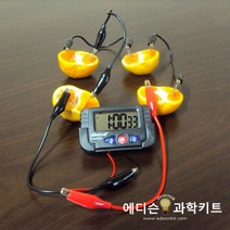 브랜드 과학교구 과일전지만들기 디지털시계