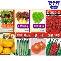 SN월드 씨앗 상추 방울토마토 당근 고추 양파 허브 새싹 꽃씨 야생화, ▶a잎채소류◀ ★대파