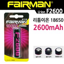 페어맨 충전기 추천, 선택9-2. F2600(브리스타포장), 1개