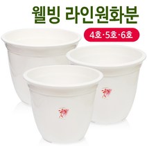 웰빙 라인원화분(4호~6호)원형화분 꽃화분 나무 원예