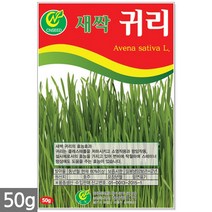 귀리 새싹 씨앗 50g / 새싹씨앗 귀리씨앗 귀리새싹씨앗 새싹귀리 귀리씨 캣그라스 캣글라스 고양이풀, 03_새싹씨앗_귀리(50g)
