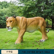 철골소심난개업관엽 TOP01