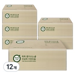 깨끗한나라 톡톡 뽑아쓰는 무표백 천연펄프 키친타올