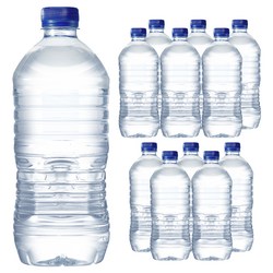 먹는샘물산수 에브리데이 산수 무라벨, 1L, 12개