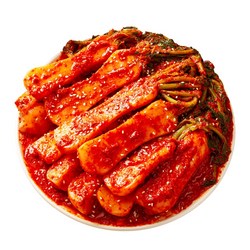 맛장군 오늘담근 총각김치, 1개, 5kg