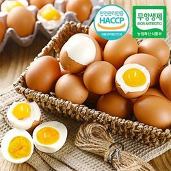 웰굿 [무항생제/HACCP]웰굿 간이배어있는 반숙계란 반숙란 30구(1판)