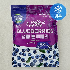 [로켓프레시] 그린팜 칠레산 블루베리 (냉동)