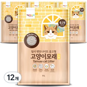 탐사 응고형 고양이 모래