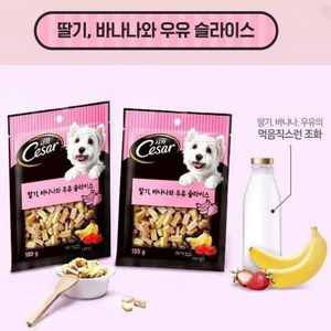 시저 강아지 간식