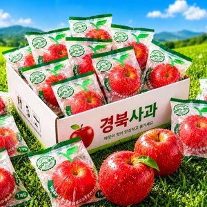 [재구매율1위] 100박스한정 선과장직송 껍질째먹는 세척사과