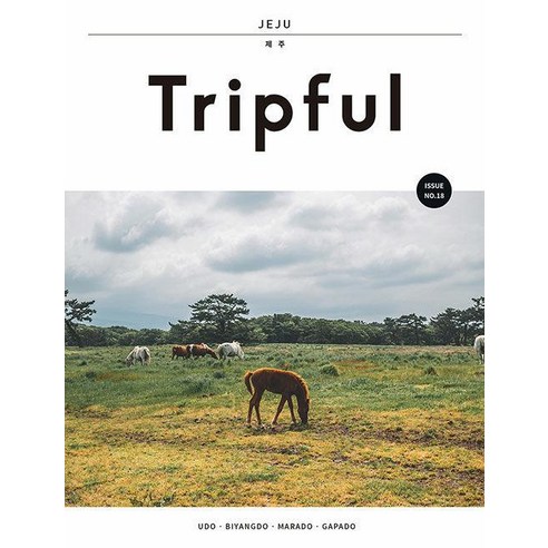 Tripful(트립풀) 제주:우도, 비양도, 마라도, 가파도
