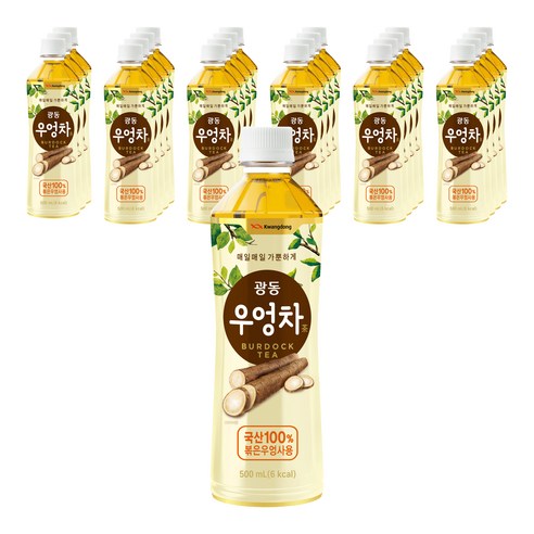광동제약 우엉차