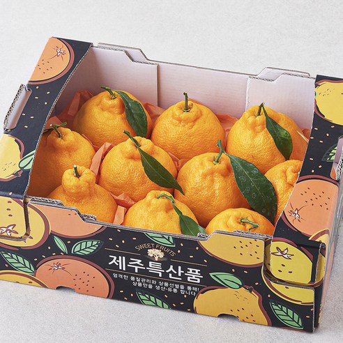 [로켓프레시] 귤탐 한라봉