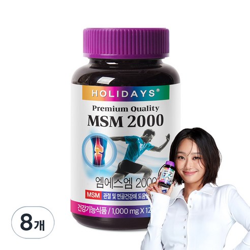 홀리데이즈 MSM 2000
