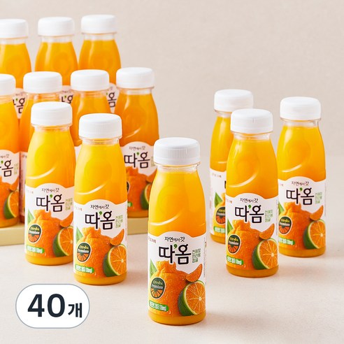 따옴 청귤 앤 한라봉 앤 천혜향 주스