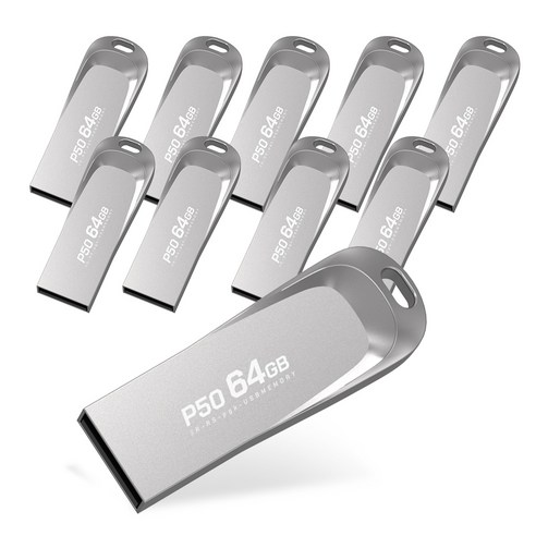 PLEIGO USB 메모리 P50, 64GB, 10개