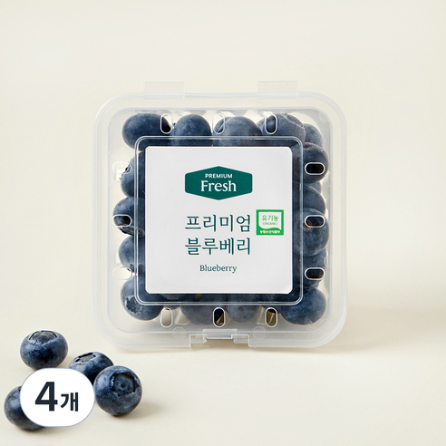 [로켓프레시] 프리미엄 유기농 블루베리 대과, 100g, 4개