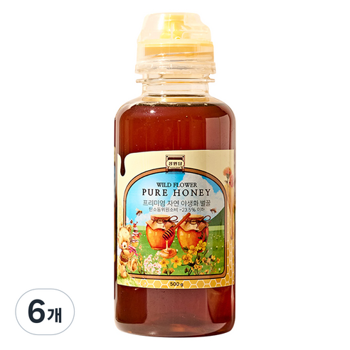 정원담 프리미엄 자연 야생화 순수 벌꿀, 6개, 500g