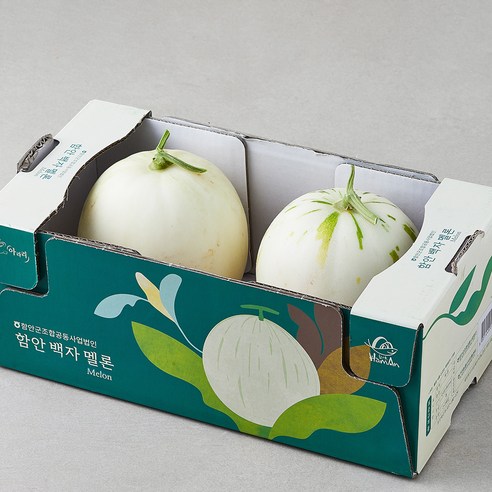 [로켓프레시] 고당도 함안 백자멜론, 2kg(2~3입), 1개