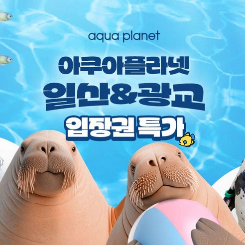★[광교] 1인 입장권
