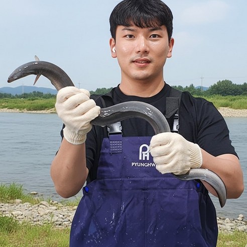 산지직송 고창 자포니카 풍천 장어, 1세트, 650g