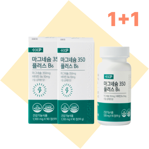 마그네슘 추천 마그네슘 산화마그네슘, 90정, 2박스