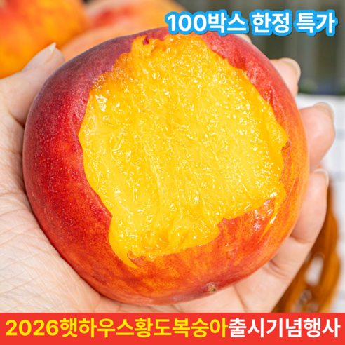 [산지직송] 2026 햇 황도 복숭아 첫 수확 하우스 털복숭아 고당도 말랑이, 1박스, 2kg중과