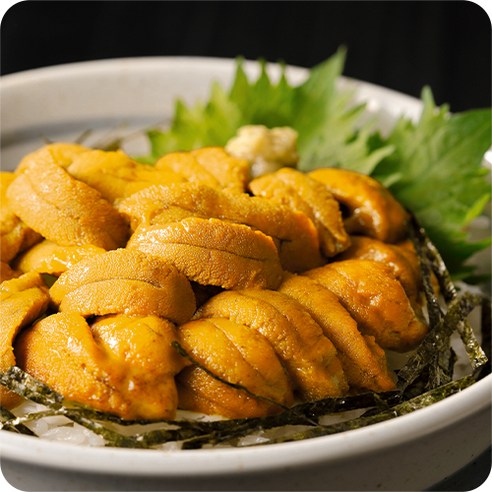국내산 말똥성게알 우니 100g (해수 우니, 제철 성게, 자연산, 말똥성게, 채반)