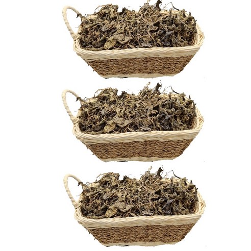 건조건나물 고추잎(200g)(3개), 200g, 3개