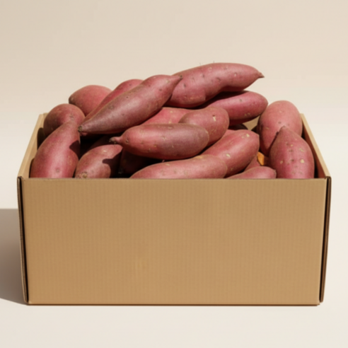 레드이츠 세척 프리미엄 해남 고구마 꿀고구마, 1박스, 한입 3kg (20~50g)