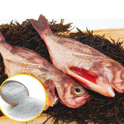 가거도 불볼락 ( 특대2마리 / 대2마리 택 )