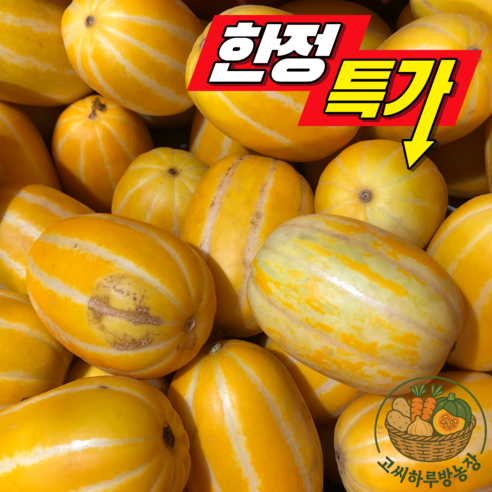 시즌특가 고당도 성주꿀참외 가정용 못난이, 1박스, 가정용 랜덤과 10kg(18-72과 내외)