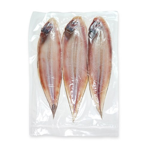 군산 반건조 박대, 1개, 3미 (대, 35~40cm 미당 240g 내외)