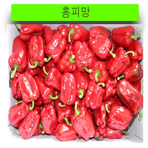 (가락시장까망콩)당일경매 신선하고 아삭한 홍피망 1kg