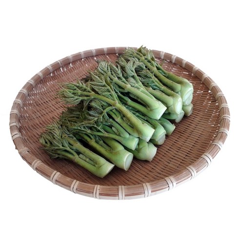 남해 땅두릅 봄 제철 나물 자연산 산지직송 일반 땅두릅, 1kg, 1개