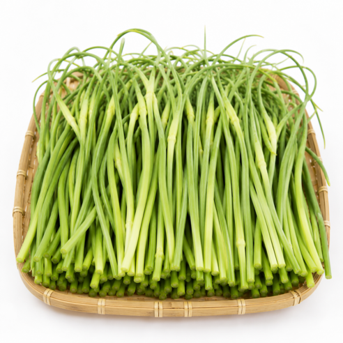 [하루딱100박스] 특가세일 신선아삭 국산 햇 마늘쫑, 1박스, 5kg