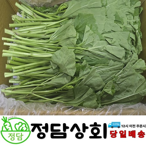 [ 정담상회 ] 국내산 아욱 아욱국 신선야채 1kg, 2kg, 4kg 내외