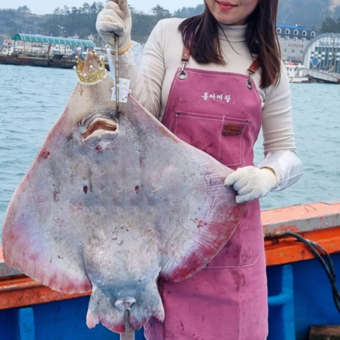 흑산도 산지직송 흑산도 홍어 국산 국내산 삭힌 싱싱 날개살 회 묵 코 삼합 택배 300g 500g 600g 1kg (수제초장 포함)