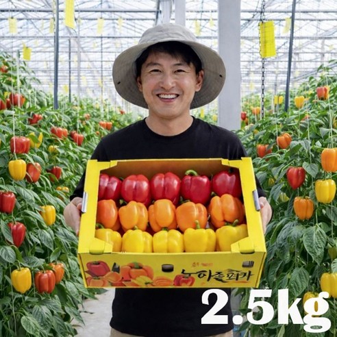 [타임특가 15% 할인] 산지 직송, 신선하고 아삭한 맛! 고당도 파프리카, 1박스, 파프리카(색상랜덤) 5kg