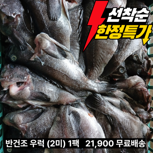 국내산 실내건조 반건조우럭2미, 1개, 2미 500g 내외