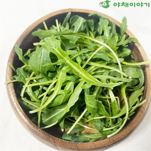 야채이야기 싱싱한 와일드루꼴라 500g, 1개, 500g