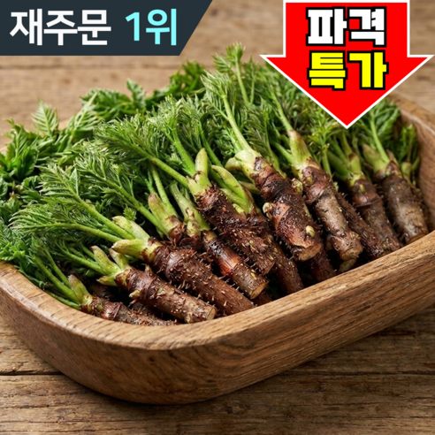 [백화점상품] 최상급 프리미엄 참두릅 초특가