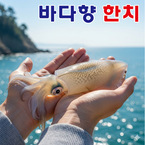 [특가한정] 생물 창꼴뚜기 급냉 한치