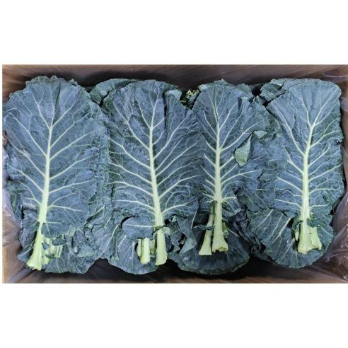 [하루채소] 케일 1kg 쌈 샐러드 즙용, 1kg, 1개