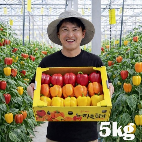 [산지직송] 신선하고 아삭한 맛! 고당도 프리미엄 파프리카, 1박스, 파프리카(색상랜덤) 5kg