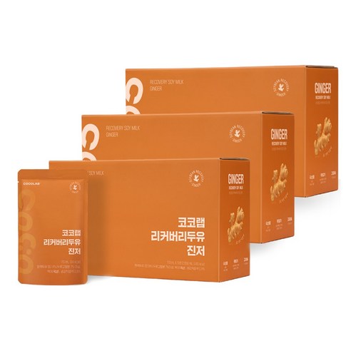 코코랩 리커버리 두유 진저