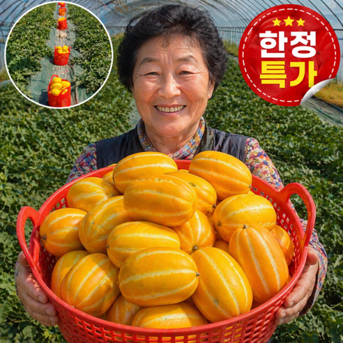 [선착순초특가] 100박스한정 성주 꿀 참외