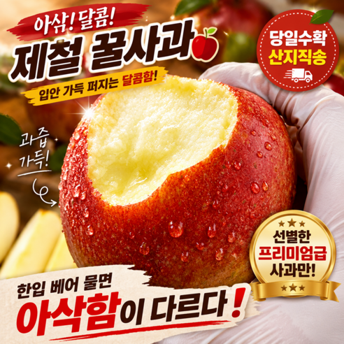 [하루특가] 고당도 초가성비 신선 부사 사과, 1박스, 5kg
